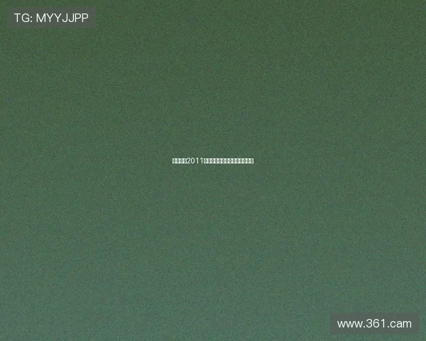 东方时空2011：回顾与展望中国社会重大事件